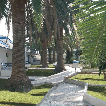 Hotel Gabbiano San Domino Kültér fotó