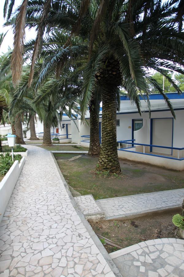 Hotel Gabbiano San Domino Kültér fotó